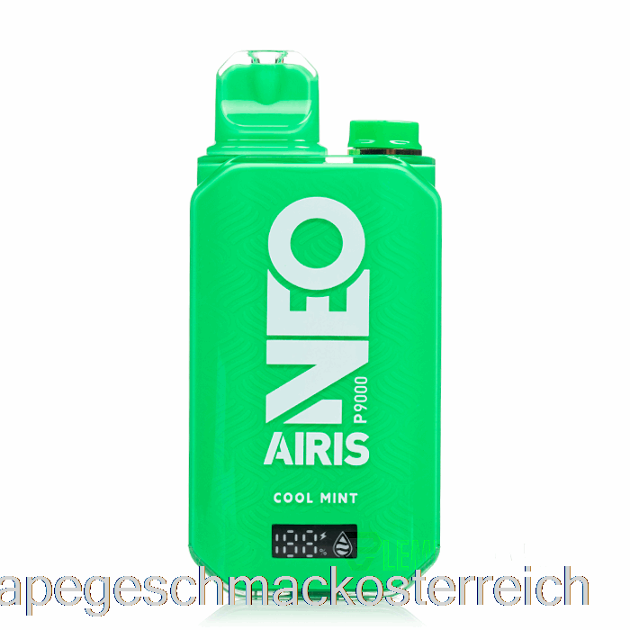 Airis Neo P9000 Einweg-E-Zigarette Mit Coolem Mint-Vape-Geschmack